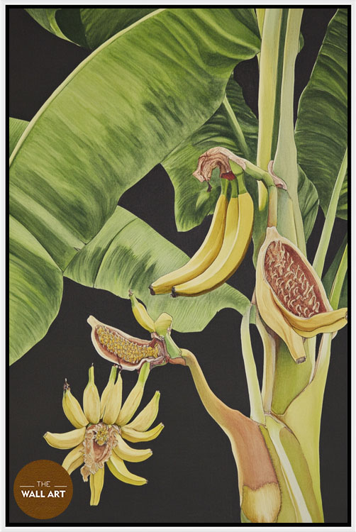 images/products/banana_tree_i/banana_tree I_WHITE.jpg